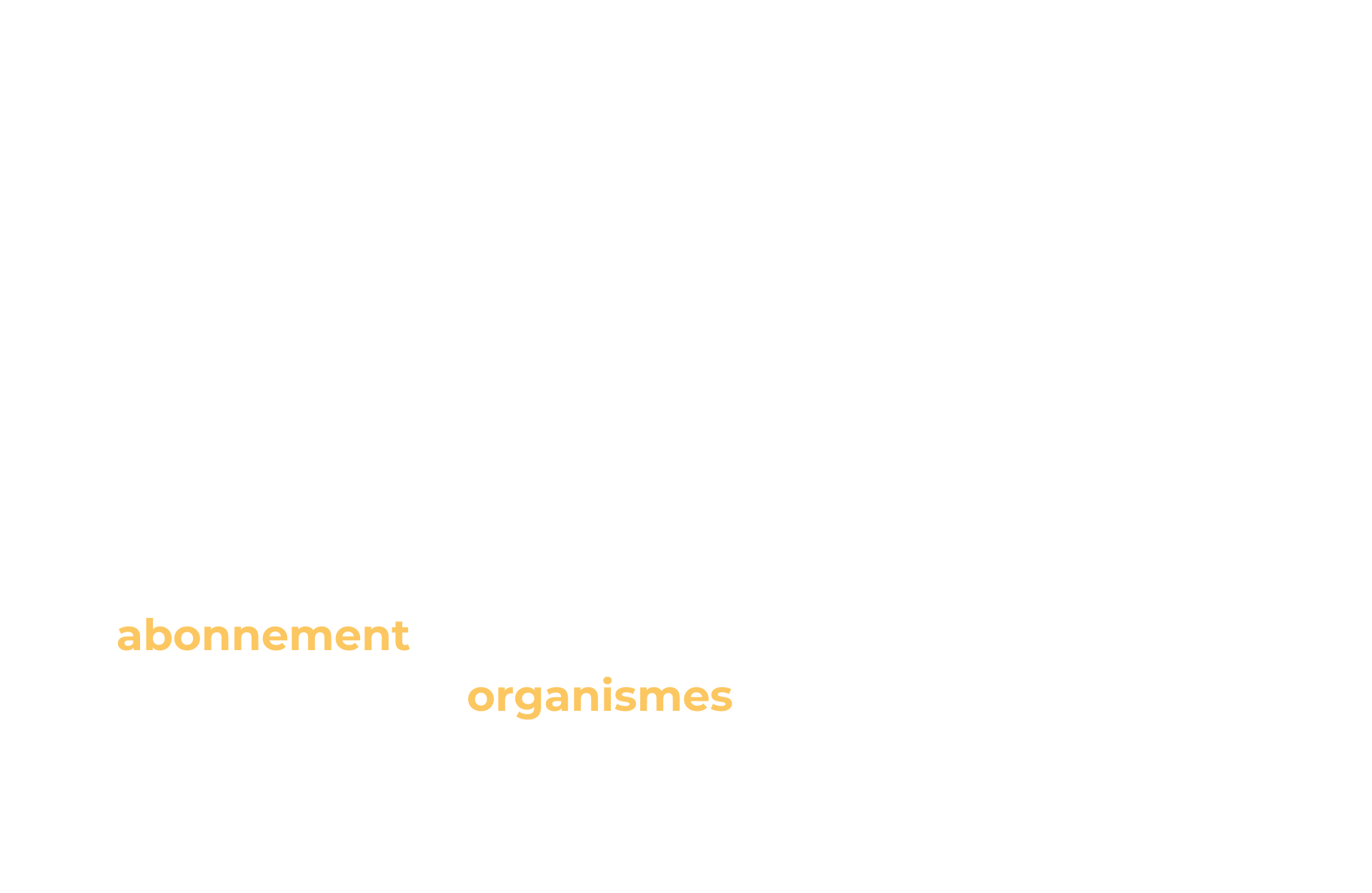 Texte_L'abonnement au programme BASES pour les organismes